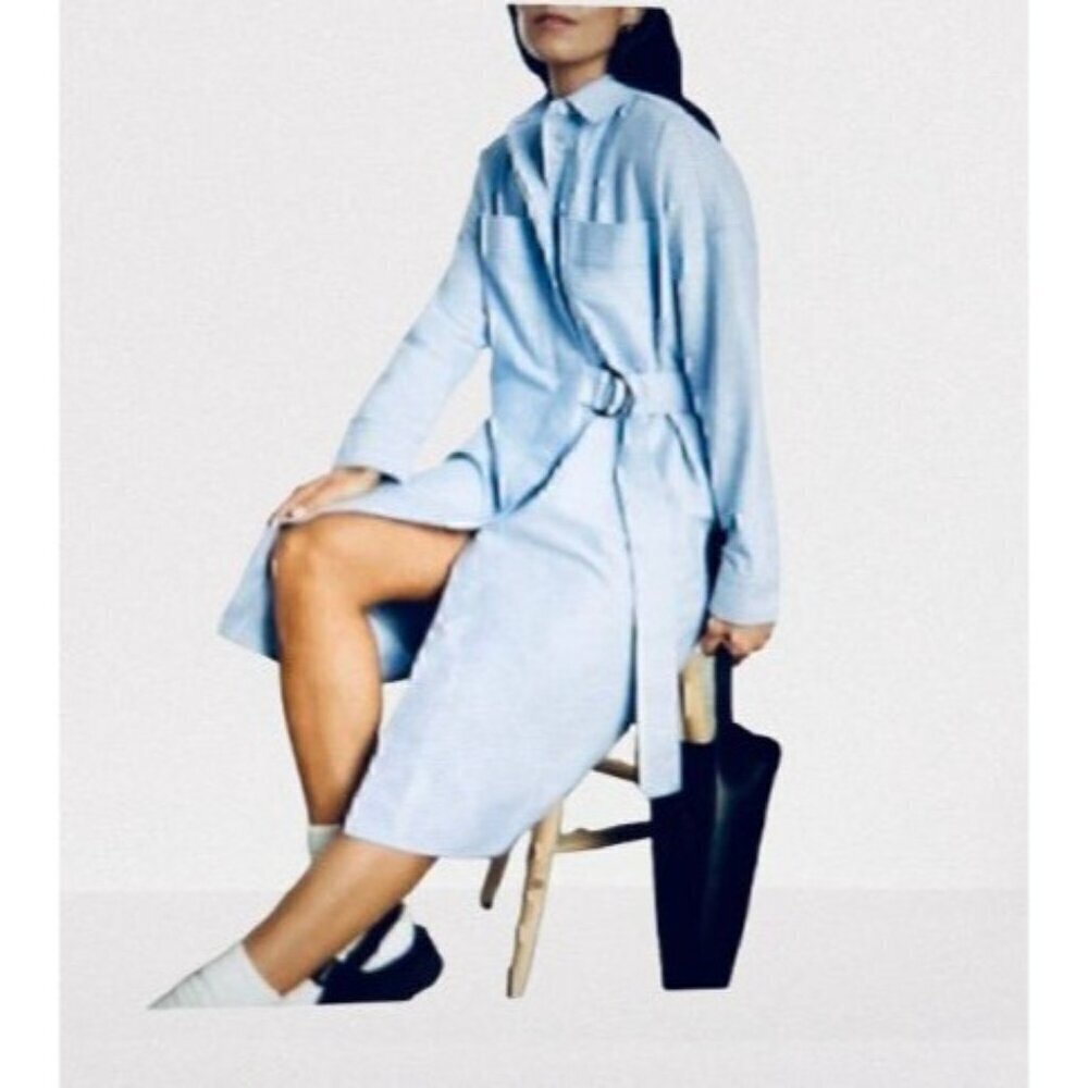 NWT Everlane Oxford Shirt Dress Light Blue Oversized Size XS